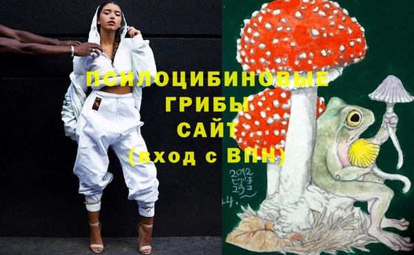соль ск Бугульма